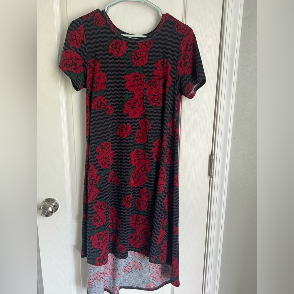 LuLaRoe Carly  XS